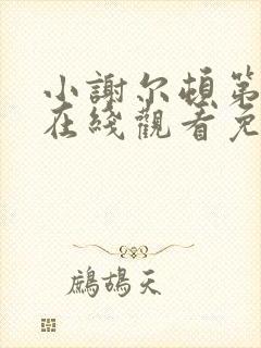 小谢尔顿第一季在线观看免费完整版