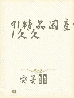 91精品国产91久久