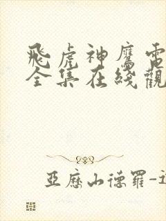 飞虎神鹰电视剧全集在线观看免费播放