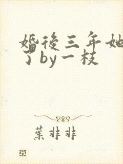 婚后三年她变心了by一枝