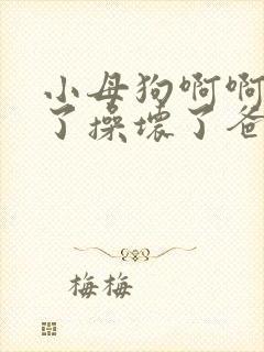 小母狗啊啊太大了操坏了爸爸