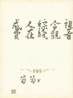 成人综合视频免费在线观看