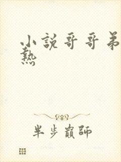 小说哥哥弟弟亲热封面