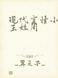 现代言情小说男主姓周封面