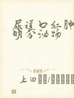 尿道口红肿流透明分泌物封面