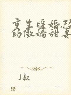 重生暖婚,陆少的傲娇甜妻,