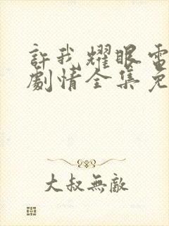 许我耀眼电视剧剧情全集免费观看