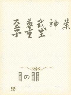 至尊武神叶风太子重生