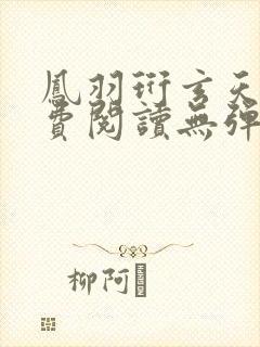 凤羽珩玄天冥免费阅读无弹窗