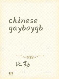 chinesegayboygb封面
