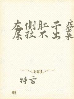 左侧肚子疼想拉屎拉不出来怎么回事