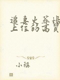 追妻火葬场男二上位的高质量小说封面