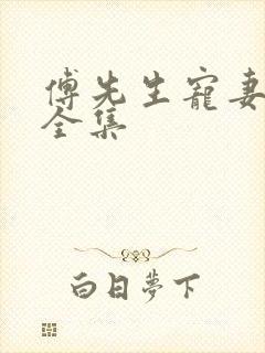 傅先生宠妻无度全集