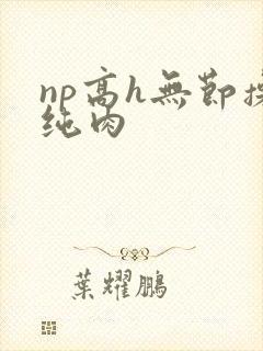 np高h无节操纯肉