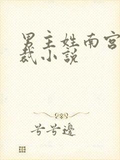 男主姓南宫的总裁小说封面