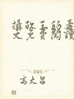 摄政王的毒妃全文免费阅读封面