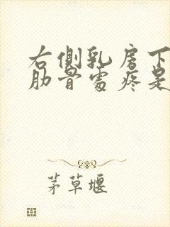 右侧乳房下边缘肋骨处疼是怎么回事