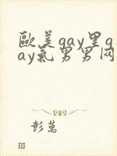 欧美gay里gay气男男网站