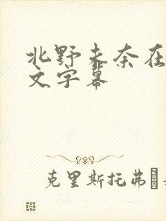 北野未奈在线中文字幕