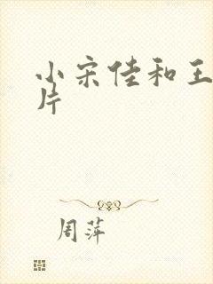 小宋佳和王伟照片封面