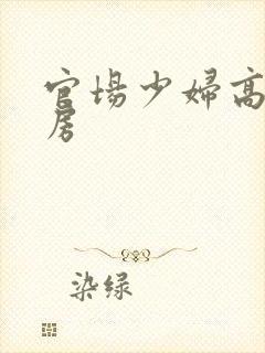 官场少妇高耸乳房