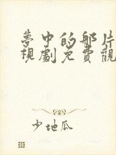 梦中的那片海电视剧免费观看全集高清