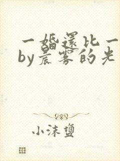 一婚还比一婚高by晨雾的光小说免费阅读