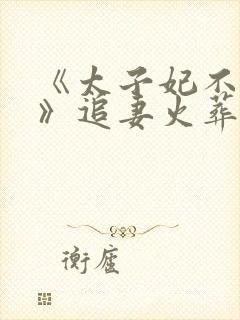 《太子妃不干了》追妻火葬场