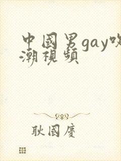 中国男gay吹潮视频