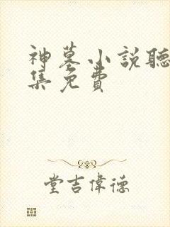 神墓小说听书全集免费
