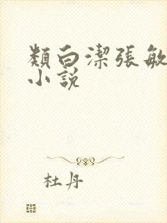 类白洁张敏孙倩小说