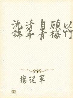 沈清月顾以辰宋锦年青梅竹马