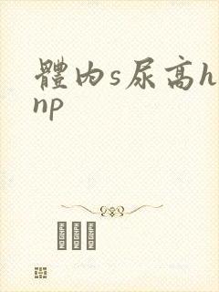 体内s尿高h文np
