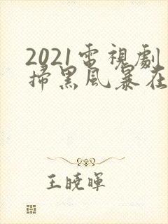 2021电视剧扫黑风暴在线观看22集