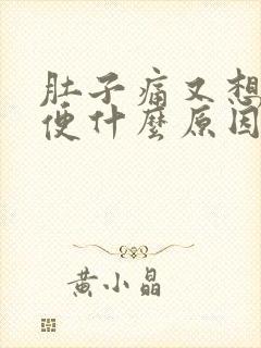 肚子痛又想拉大便什么原因