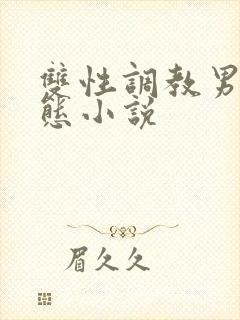 双性调教男奴变态小说