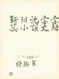 靳川沈念念孟娇蕊小说大结局封面