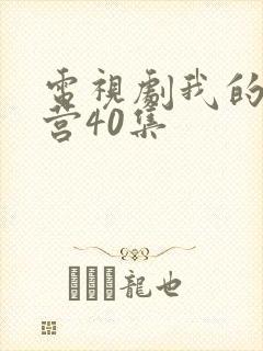 电视剧我的特一营40集