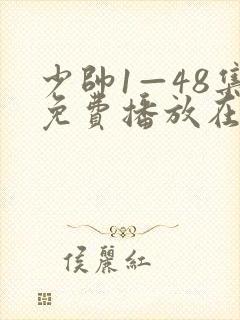 少帅1—48集免费播放在线观看