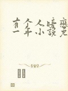 有个人暗恋我十一年小说免费阅读封面