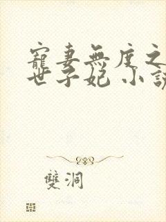 宠妻无度之腹黑世子妃 小说