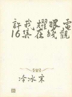 许我耀眼电视剧16集在线观看免费