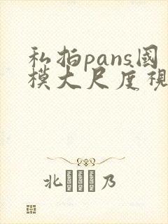 私拍pans国模大尺度视频在线
