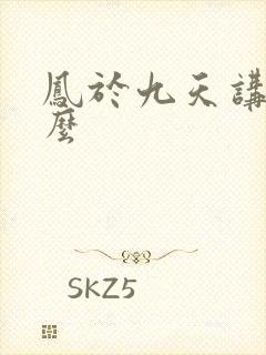 凤于九天讲的什么