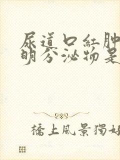 尿道口红肿有透明分泌物是什么病