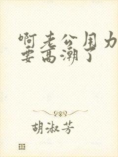 啊老公用力啊我要高潮了