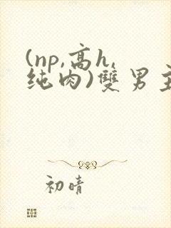 (np,高h,纯肉)双男主
