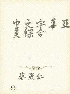 中文字幕亚洲欧美综合