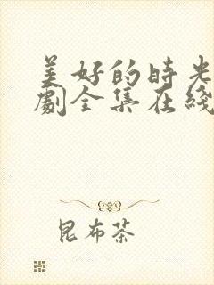 美好的时光电视剧全集在线观看免费