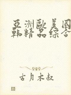 亚洲欧美国产日韩精品综合在线